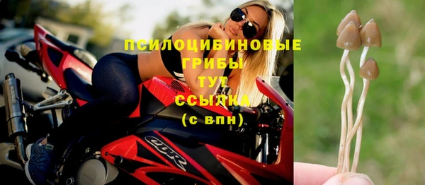 МДПВ Кулебаки