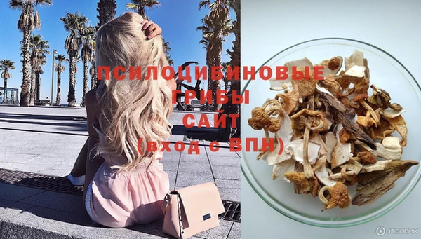 ECSTASY Ладушкин
