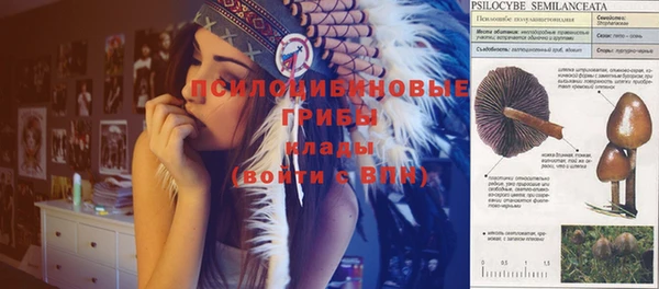 твердый Куйбышев