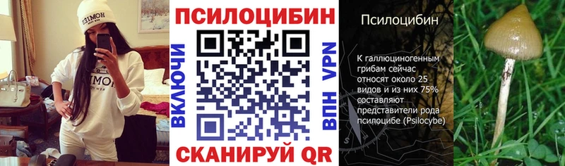 Галлюциногенные грибы GOLDEN TEACHER  Электросталь 