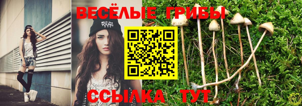 Псилоцибиновые грибы мухоморы  Электросталь 