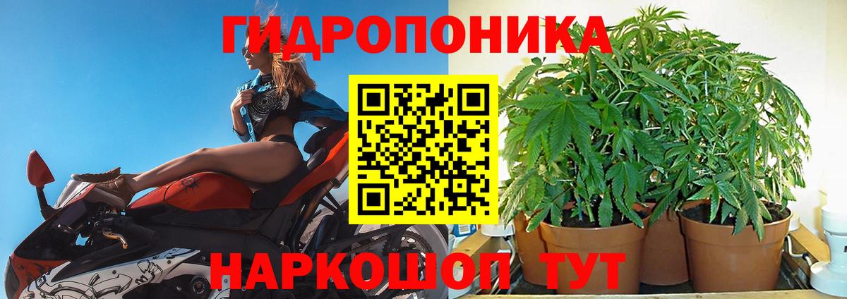 МАРИХУАНА Amnesia  МАРИХУАНА Bruce Banner  Вход с VPN  Марихуана VHQ  Шишки марихуана семена  Электросталь 